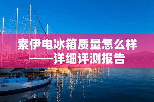 索伊电冰箱质量怎么样——详细评测报告
