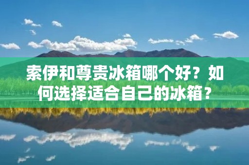 索伊和尊贵冰箱哪个好?如何选择适合自己的冰箱? 索伊和尊贵冰箱哪个好?如何选择适合自己的冰箱?