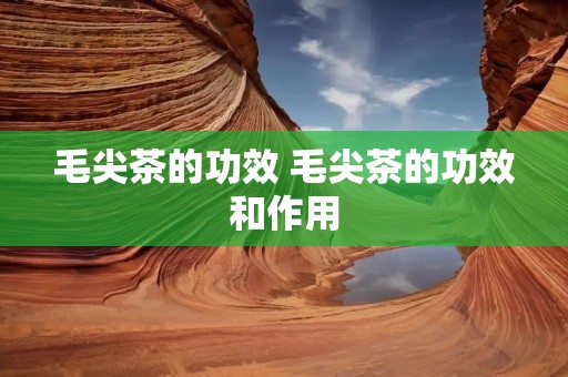 毛尖茶的功效 毛尖茶的功效和作用