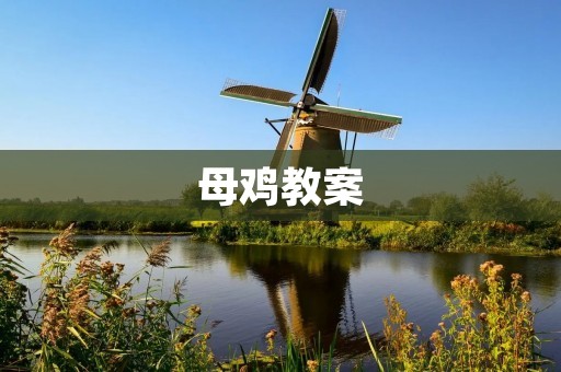 母鸡教案:培养学生关注动物保护与责任意识