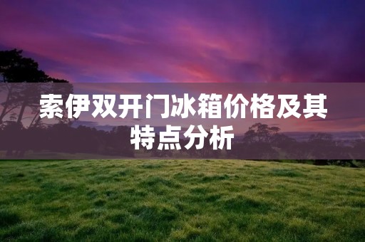索伊**门冰箱价格及其特点分析 索伊**门冰箱价格及其特点分析