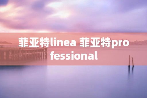 菲亚特linea 菲亚特professional