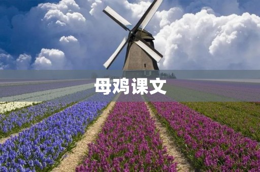 母鸡课文:探索母鸡生活的奥秘