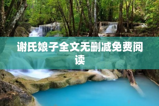 谢氏娘子全文无删减免费阅读:重现历史的传世之作