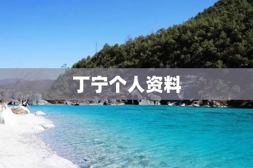 丁宁个人资料:中国乒乓球女将的传奇之路 丁宁个人资料:中国乒乓球女将的传奇之路