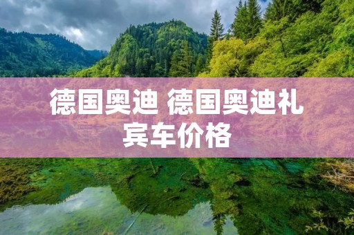 德国奥迪 德国奥迪礼宾车价格