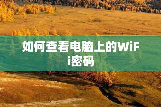 如何查看电脑上的WiFi密码
