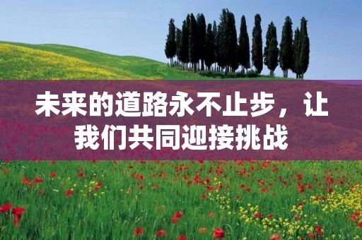 未来的道路永不止步,让我们共同迎接挑战
