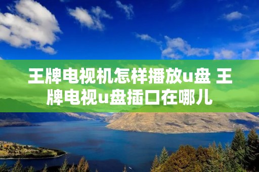 王牌电视机怎样播放u盘 王牌电视u盘插口在哪儿 王牌电视机怎样播放u盘 王牌电视u盘插口在哪儿