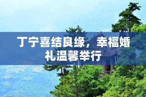 丁宁喜结良缘，幸福婚礼温馨举行