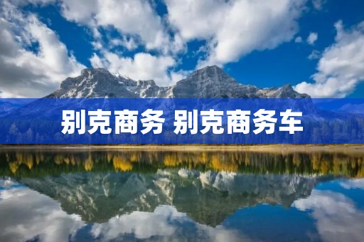 别克商务 别克商务车