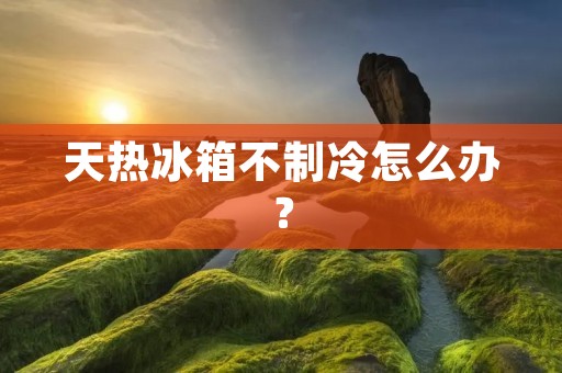 天热冰箱不制冷怎么办? 天热冰箱不制冷怎么办?