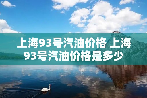 上海93号汽油价格 上海93号汽油价格是多少