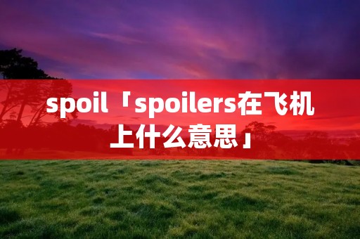 spoil「spoilers在飞机上什么意思」