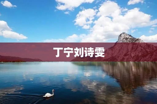 丁宁刘诗雯：中国乒乓球双姝的辉煌征程