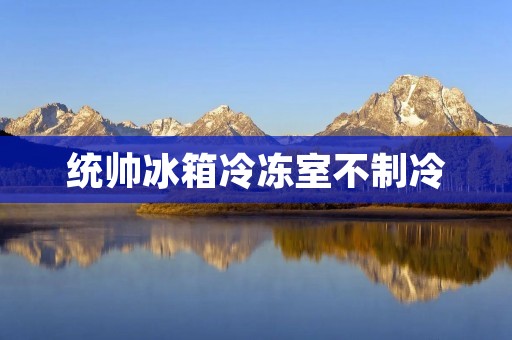 统帅冰箱冷冻室不制冷:解决方法及注意事项 统帅冰箱冷冻室不制冷:解决方法及注意事项