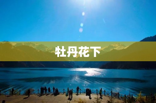 牡丹花下:缤纷绽放的花海