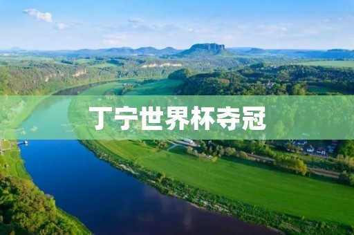 丁宁世界杯夺冠:传奇之路的完美谢幕 丁宁世界杯夺冠:传奇之路的完美谢幕