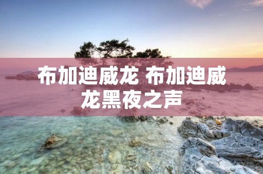 布加迪威龙 布加迪威龙黑夜之声 布加迪威龙 布加迪威龙黑夜之声