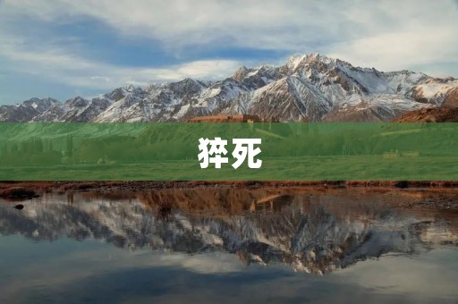 猝死:突然发生的意外死亡