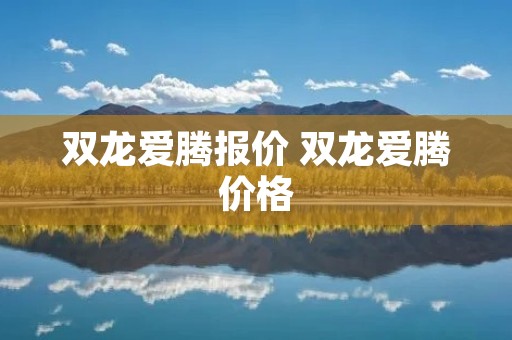 双龙爱腾报价 双龙爱腾价格