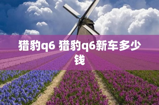 猎豹q6 猎豹q6新车多少钱 猎豹q6 猎豹q6新车多少钱