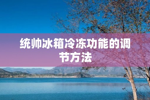 统帅冰箱冷冻功能的调节方法