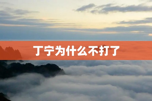 丁宁为什么不打了 丁宁为什么不打了