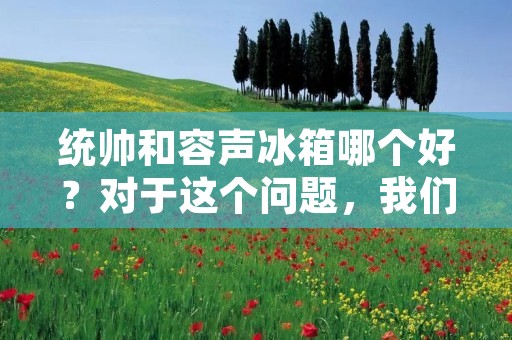 统帅和容声冰箱哪个好？对于这个问题，我们需要从多个方面进行比较和分析。下面将详细介绍这两个品牌的特点和优势，以帮助消费者做出明智的购买决策。