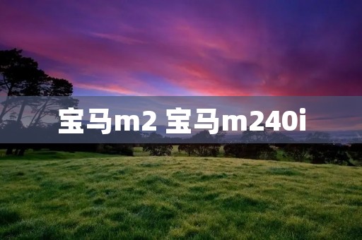 宝马m2 宝马m240i 宝马m2 宝马m240i