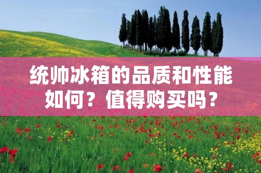 统帅冰箱的品质和性能如何？值得购买吗？
