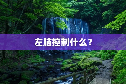左脑控制什么?