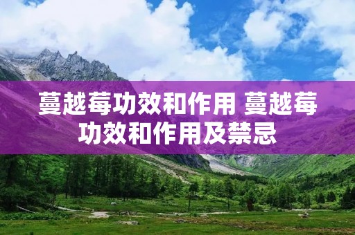 蔓越莓功效和作用 蔓越莓功效和作用及禁忌