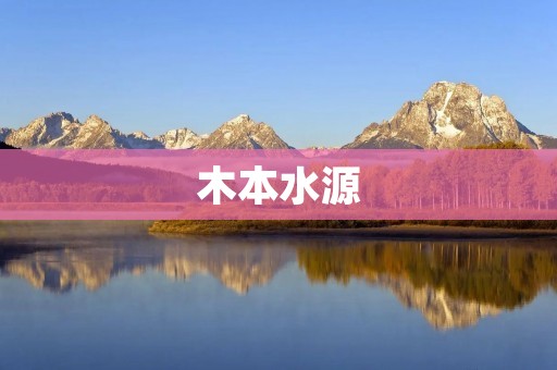 木本水源:大自然的馈赠