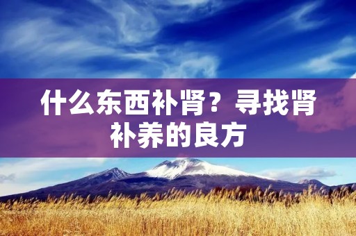 什么东西补肾？寻找肾补养的良方