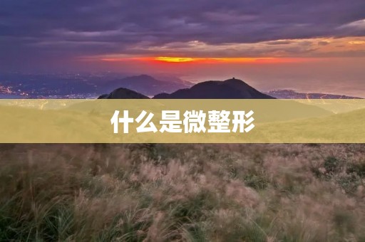 什么是微整形