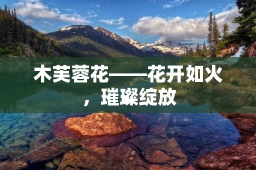 木芙蓉花——花开如火,璀璨绽放