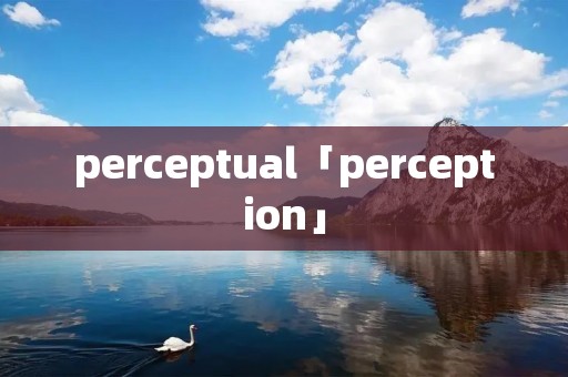 perceptual「perception」 perceptual「perception」