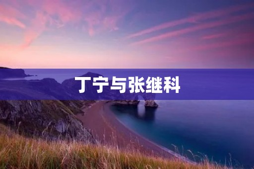 丁宁与张继科：中国乒乓球双雄的辉煌之路