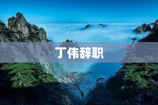丁伟辞职:一个职场旅程的终结 丁伟辞职:一个职场旅程的终结