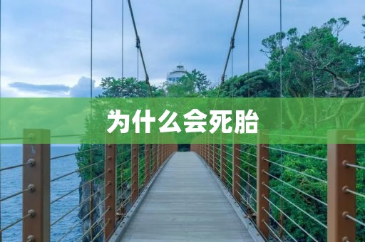 为什么会死胎