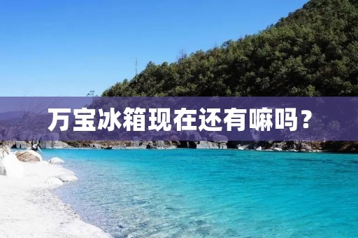 万宝冰箱现在还有嘛吗? 万宝冰箱现在还有嘛吗?