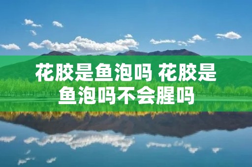 花胶是鱼泡吗 花胶是鱼泡吗不会腥吗