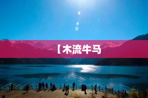 【木流牛马:传承与创新的木工艺术之美】
