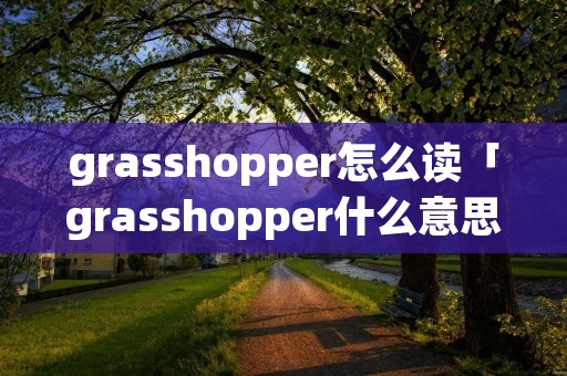 grasshopper怎么读「grasshopper什么意思中文翻译」 grasshopper怎么读「grasshopper什么意思中文翻译」