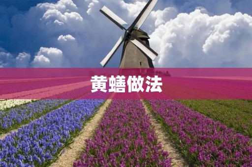 黄蟮做法：美味佳肴的制作秘籍
