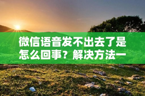 微信语音发不出去了是怎么回事?解决方法一网打尽!