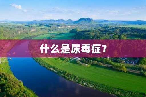 什么是尿毒症?