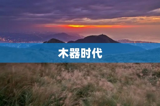 木器时代：探寻古老木制工艺的瑰宝