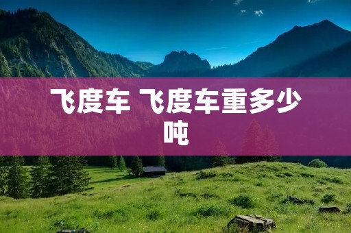 飞度车 飞度车重多少吨